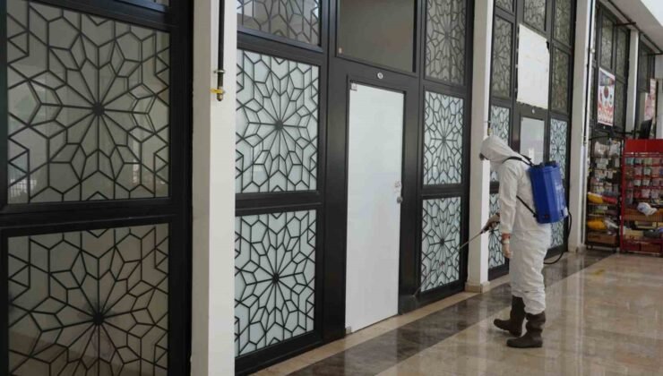 Bilecik Belediyesi’nden çekirgelere karşı erken önlem