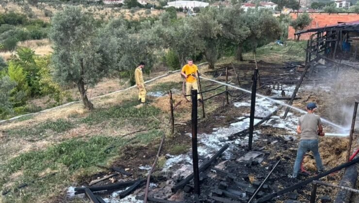 Bilecik’te bir ahır çıkan yangında kül oldu