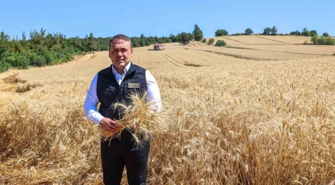 Bilecik’te bu yıl 335 bin dekar alanda 167 bin 500 ton buğday üretimi bekleniyor