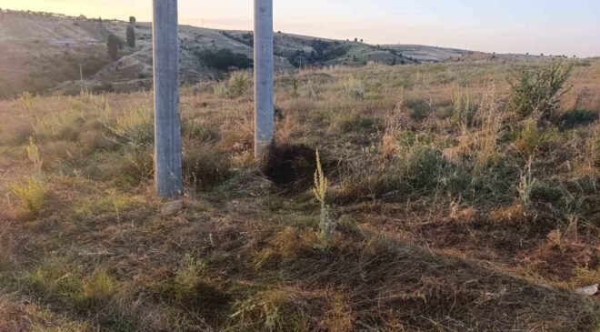 Bilecik’te elektrik akımına kapılan kuş yangına sebep oldu