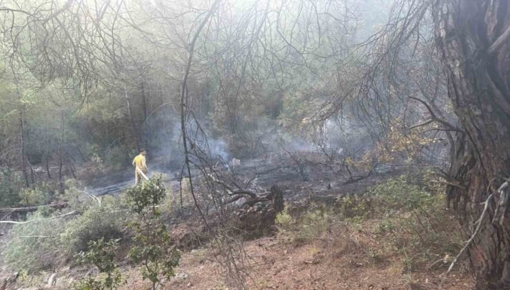 Bilecik’te örtü yangını büyümeden söndürüldü