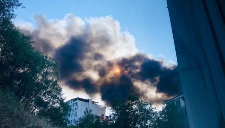 Bilecik’te ot yangını depoya sıçradı, faciadan dönüldü