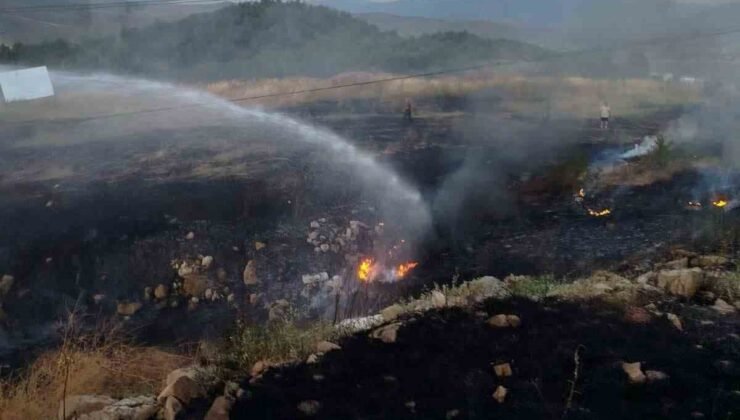 Bilecik’te otluk alanda çıkan yangın paniğe neden oldu