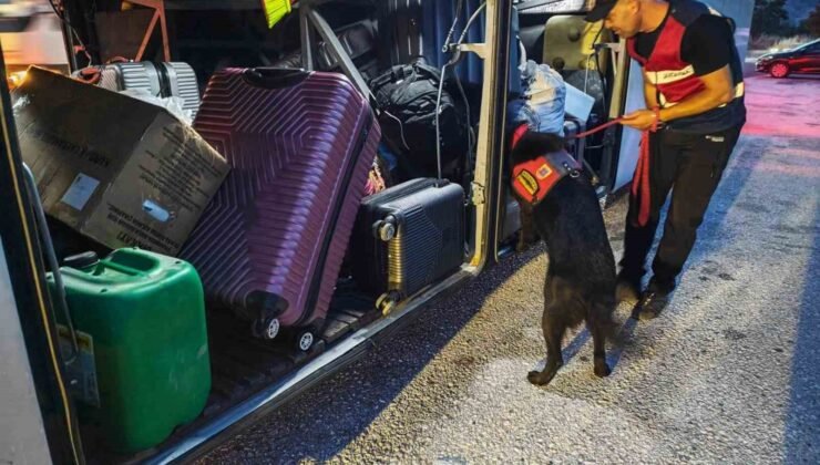 Bilecik’te trafik ihlallerine 32 bin liralık ceza