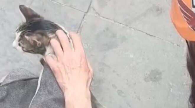 Dar alanda sıkışan kediyi DAK ekipleri kurtardı