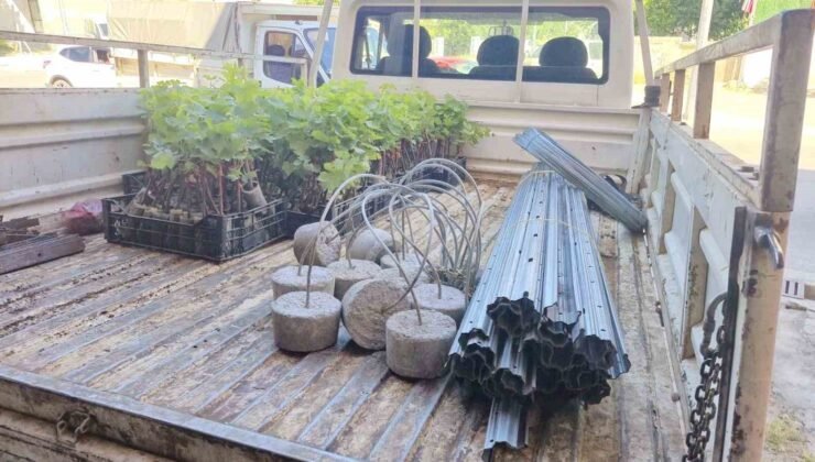Dinar’da Bağcılık Projesi başladı