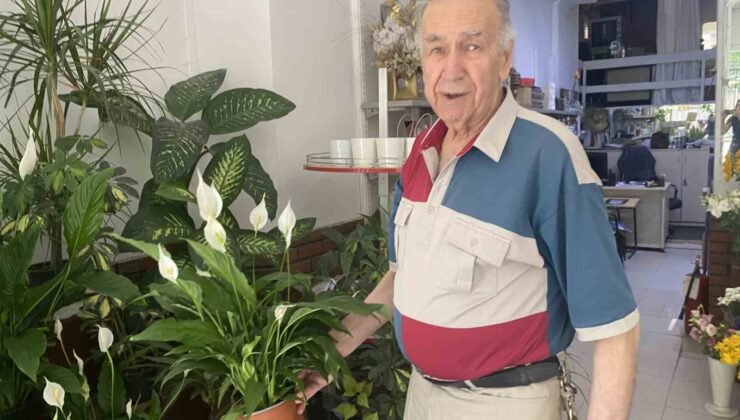 Direkt güneş ışığı çiçekler için zararlı
