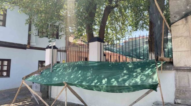 Dökülen dutlar için ağlı önlem