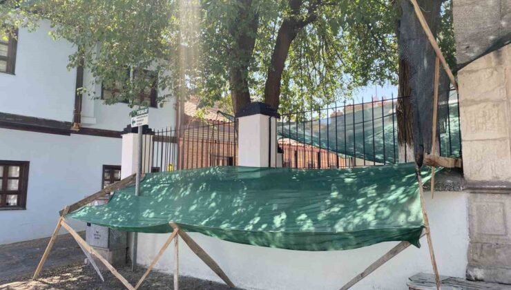 Dökülen dutlar için ağlı önlem