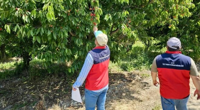 Dolu yağışından dolayı hasar tespit çalışmaları sürüyor