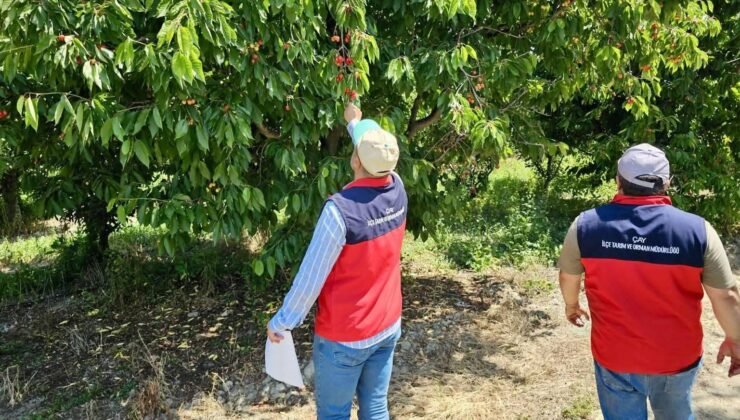 Dolu yağışından dolayı hasar tespit çalışmaları sürüyor