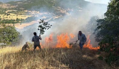 Domaniç’te tarlada başlayan ve ormanlık alana sıçrayan yangın söndürüldü