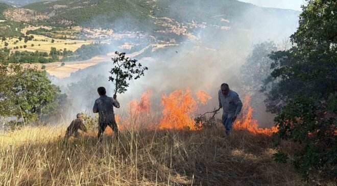 Domaniç’te tarlada başlayan ve ormanlık alana sıçrayan yangın söndürüldü