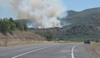 Domaniç’te tarlada başlayan yangın ormana sıçradı