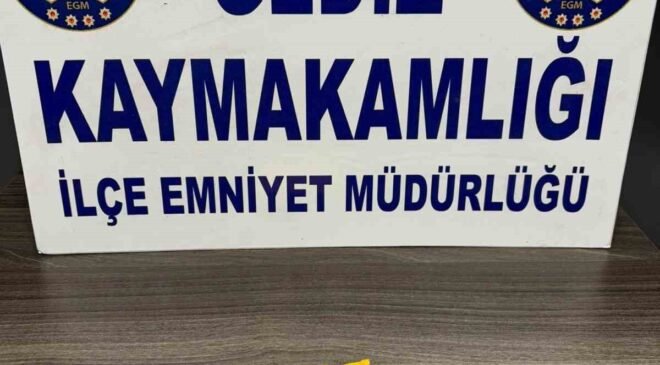 Durdurulan araçta 272 içimlik kağıda emdirilmiş uyuşturucu madde ele geçirildi, 5 kişi yakalandı
