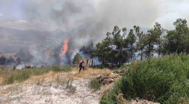 Elektrik direğinden çıkan yangın korkuttu