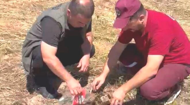 Emet’te alevlerin arasından kurtarılan kaplumbağa yürekleri ısıttı