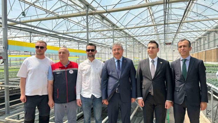 Eskişehir Valisi Dr. Erdinç Yılmaz, Sarıcakaya’daki fide tesisini ziyaret etti