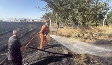 Eskişehir’de anız yangını: Alevler milyar dolarlık fabrikaya 200 metre kala durduruldu