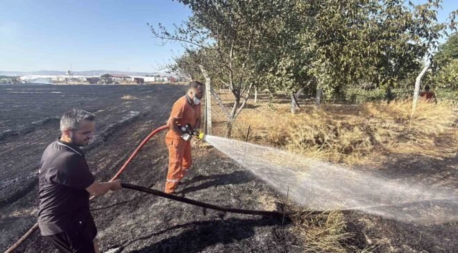Eskişehir’de anız yangını: Alevler milyar dolarlık fabrikaya 200 metre kala durduruldu
