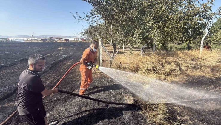 Eskişehir’de anız yangını: Alevler milyar dolarlık fabrikaya 200 metre kala durduruldu