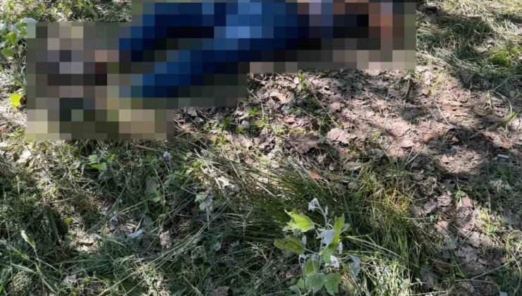 Eskişehir’de bir kişi ağaçlık alanda ölü bulundu