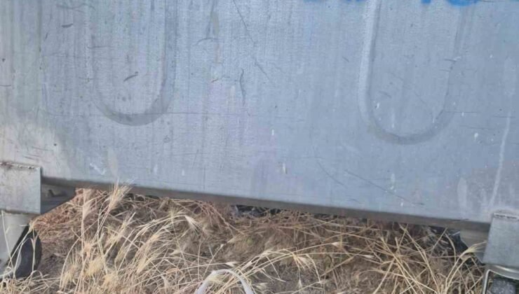 Eskişehir’de kan donduran olay: Yavru kedinin ağzını bantlayıp poşetle çöpe attılar