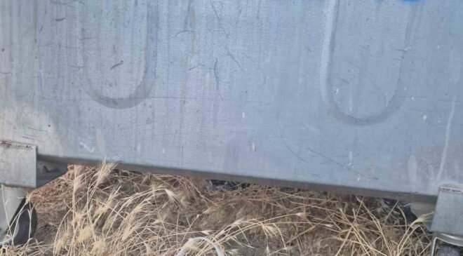 Eskişehir’de kan donduran olay: Yavru kedinin ağzını bantlayıp poşetle çöpe attılar