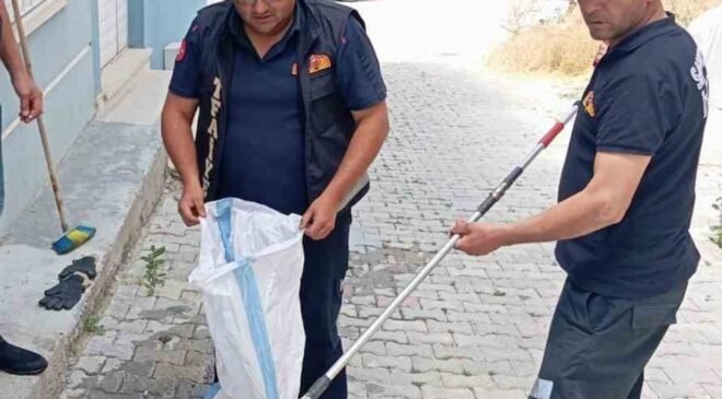 Eve giren yılan paniğe neden oldu