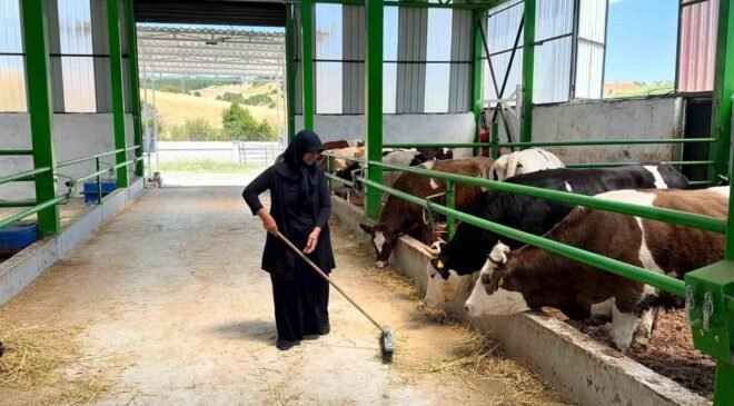Gediz’de 12 milyon TL’lik büyükbaş besi işletmesi faaliyete geçti
