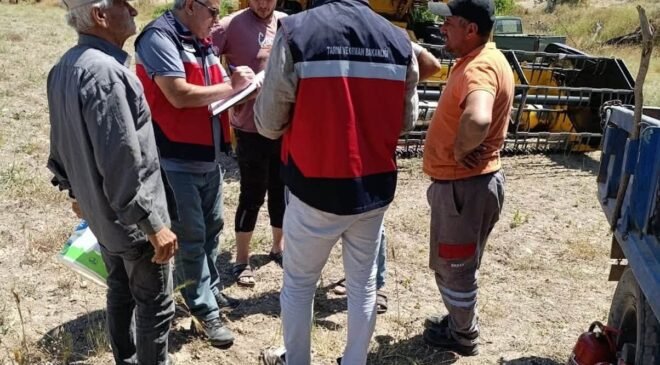 Gediz’de biçerdöverle hasat kontrolleri sürüyor