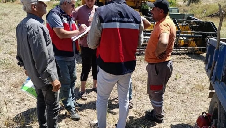 Gediz’de biçerdöverle hasat kontrolleri sürüyor