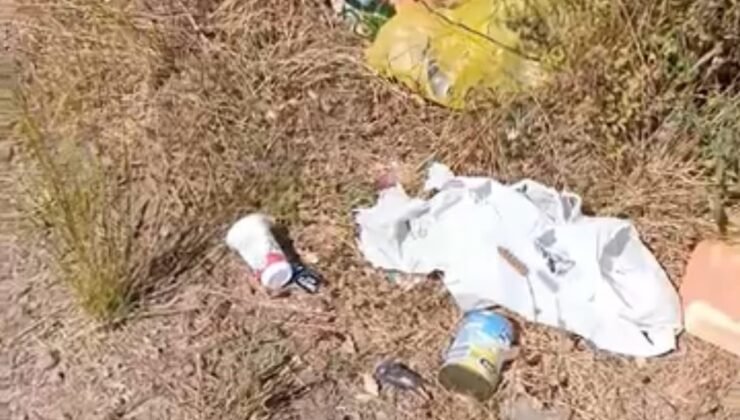 Gölet kenarlarına atılan çöpler tepki topluyor