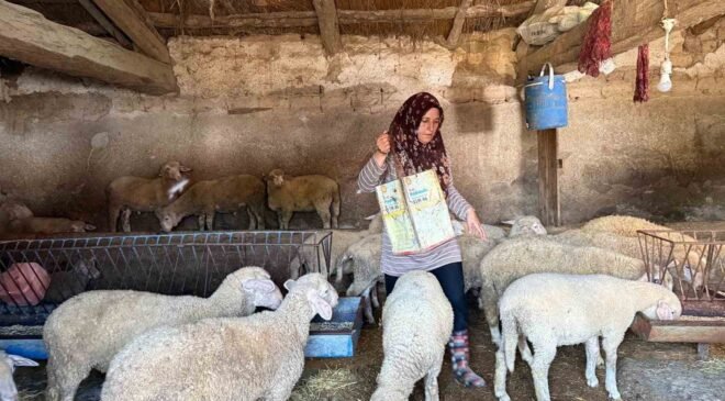 Hayvanlara büyü yaptı” denilerek vahşice öldürülen adamın karısı tek başına çobanlık yaparak 2 oğlunu okutmaya çalışıyor