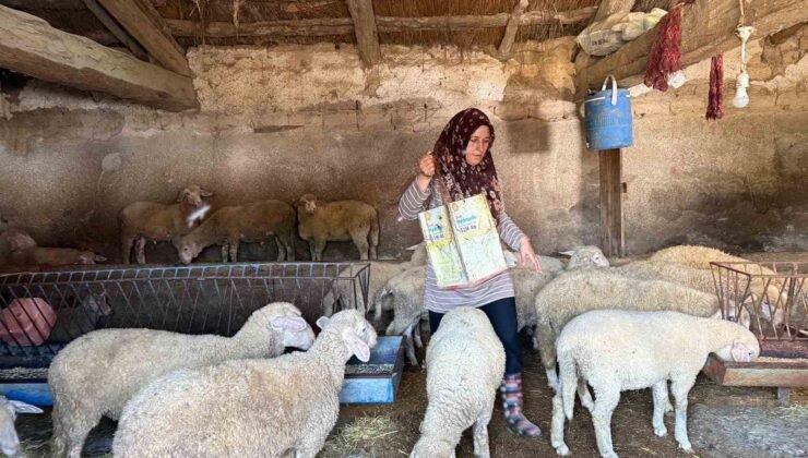 Hayvanlara büyü yaptı” denilerek vahşice öldürülen adamın karısı tek başına çobanlık yaparak 2 oğlunu okutmaya çalışıyor