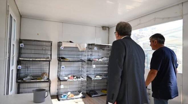 Kaymakam Helvacı’dan hayvan bakımevinde yerinde inceleme