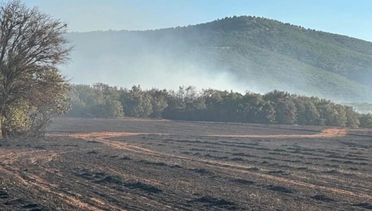 Kütahya Altıntaş’taki arazi yangını kontrol altına alındı