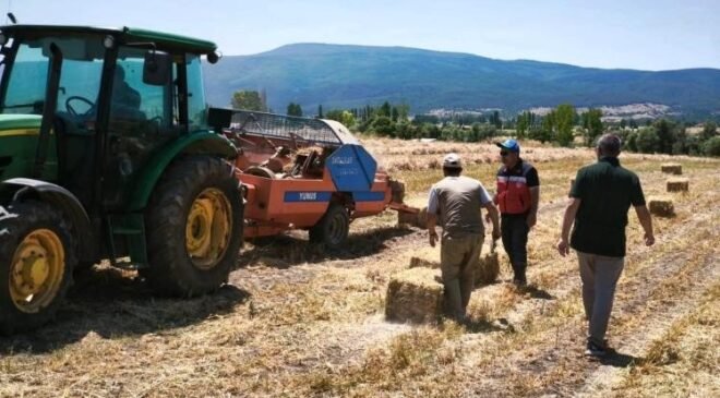 Kütahya Köprüören köyünde yem bezelyesi demonstrasyonunda hasat tamamlandı