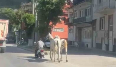 Kütahya’da atları motosikletine bağlayarak ilerleyen sürücü kameraya yansıdı
