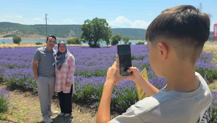 Kütahya’da lavanta bahçesi kapılarını ziyaretçilere açtı