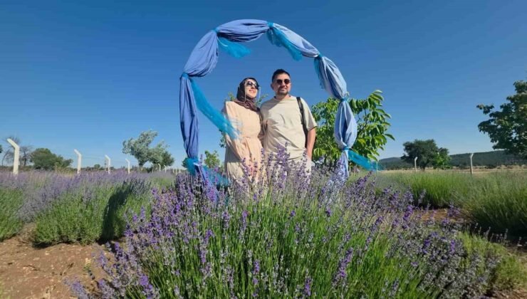 Kütahya’da lavanta bahçesi kırsal turizmin gözdesi oldu