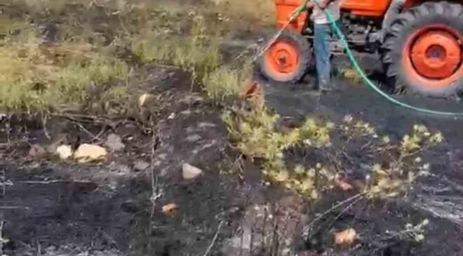 Kütahya’da orman yangını paniğe sebep oldu