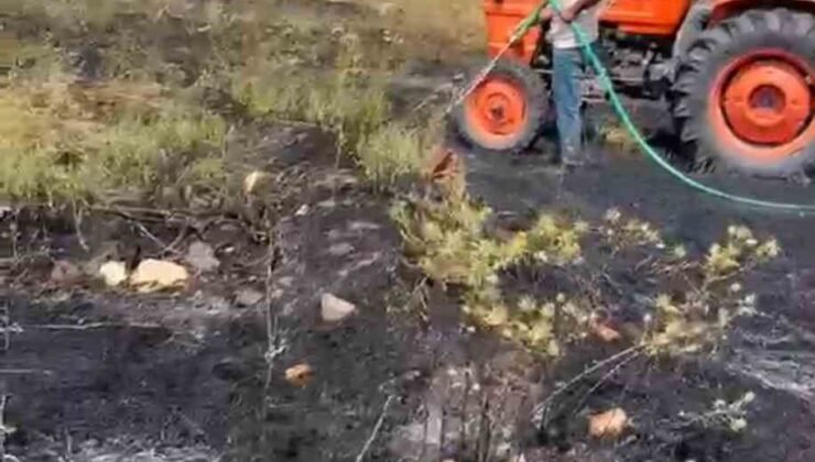 Kütahya’da orman yangını paniğe sebep oldu
