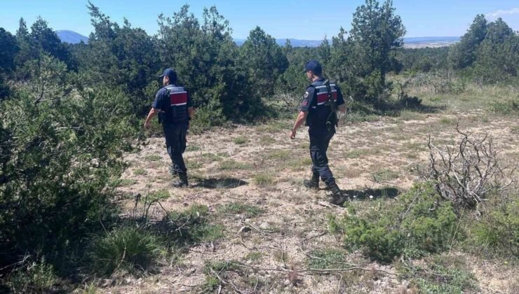 Kütahya’da orman yangınlarına karşı jandarma teyakkuza geçti