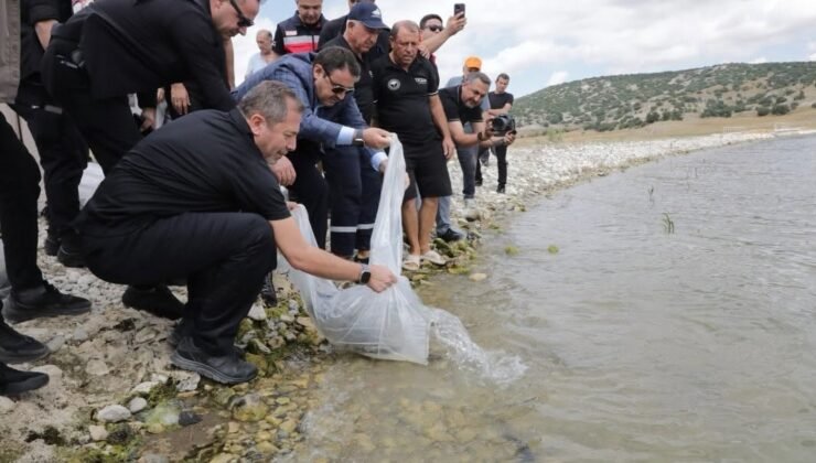 Kütahya’da Porsuk Barajı Göleti’ne 107 bin 500 balık yavrusu bırakıldı