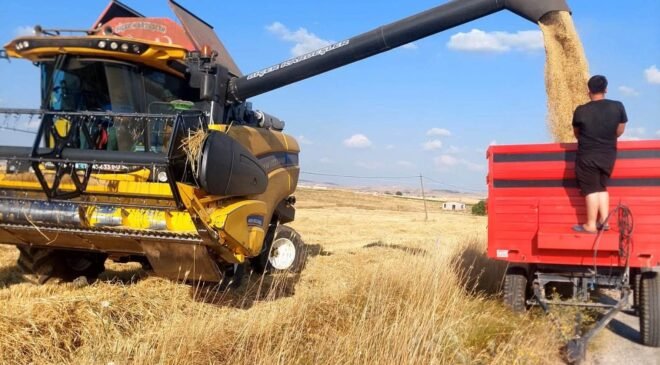 Kütahya’da yerli ve milli arpa çeşitlerinde verimli hasat