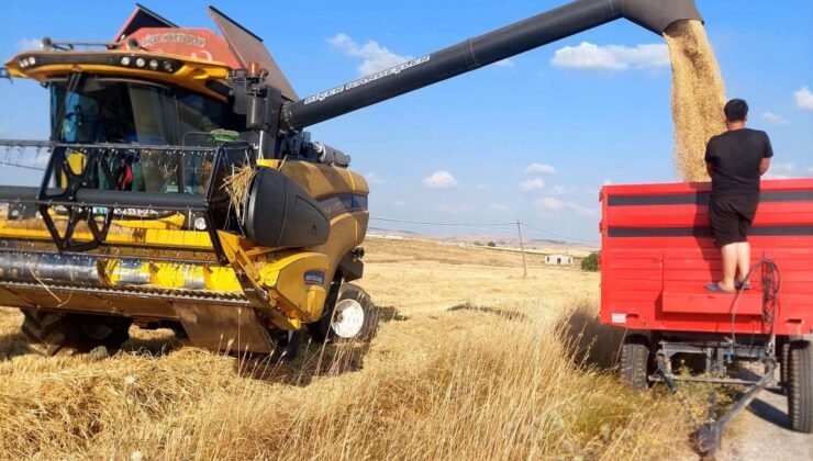 Kütahya’da yerli ve milli arpa çeşitlerinde verimli hasat