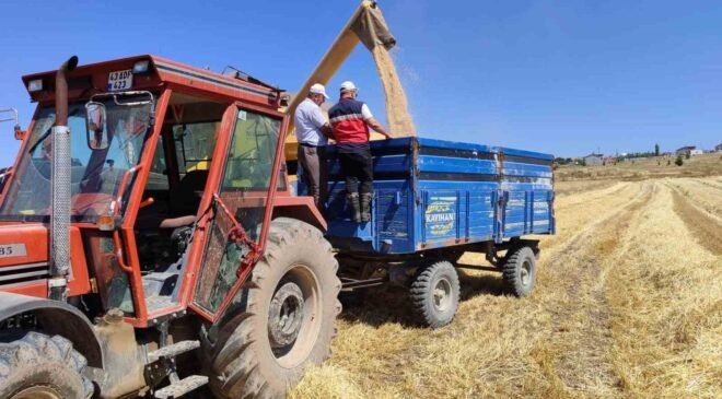 Kütahya’da yerli ve milli arpa çeşitlerinin hasadı yapıldı
