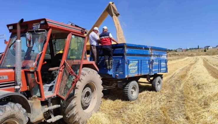 Kütahya’da yerli ve milli arpa çeşitlerinin hasadı yapıldı