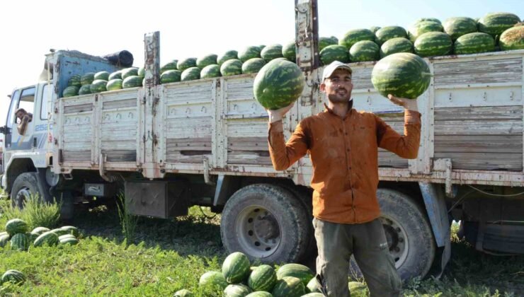 Mevsimlik işçilerin karpuz mesaisi